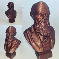 مجسمه
داروین
چارلز داروین
چارلز رابرت داروین
پرینت سه بعدی
پرینت سه بعدی مشهد